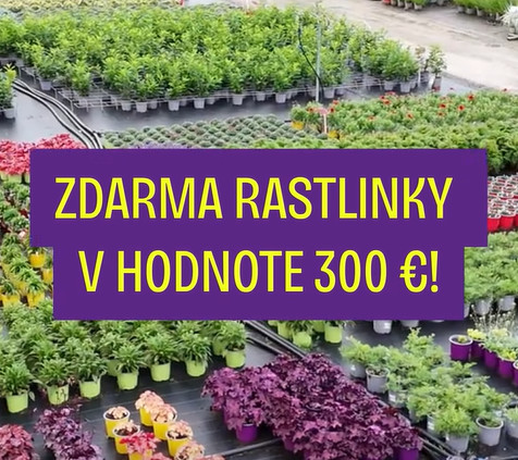 sutaz rastliny300